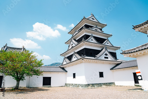 Obraz na płótnie Ozu castle in Ehime, Shikoku, Japan w salonie