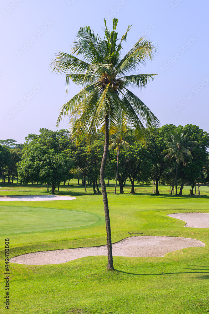 Golf course Golf course