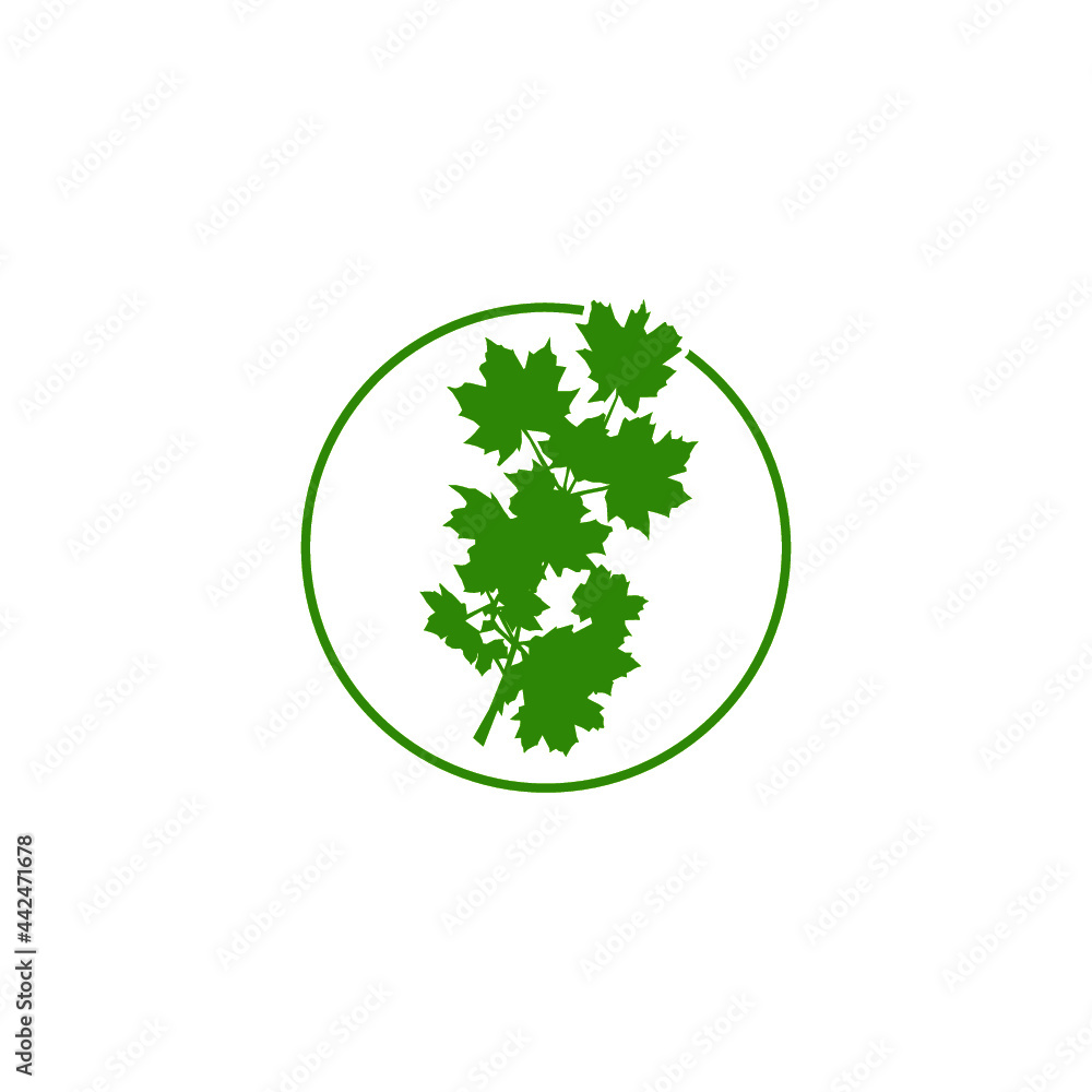 Leaf Logo. Leaves Logo icon isolated on white background Leaf Logo. Leaves Logo icon isolated on white background
