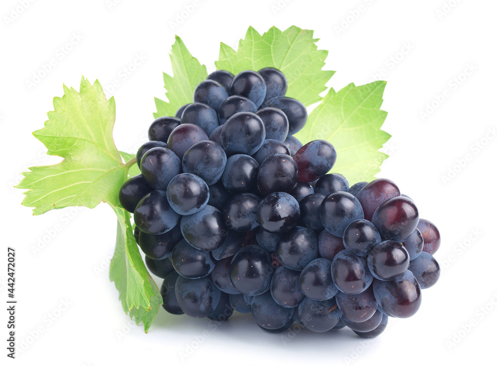 Fototapeta premium Bunch of grapes on a white background