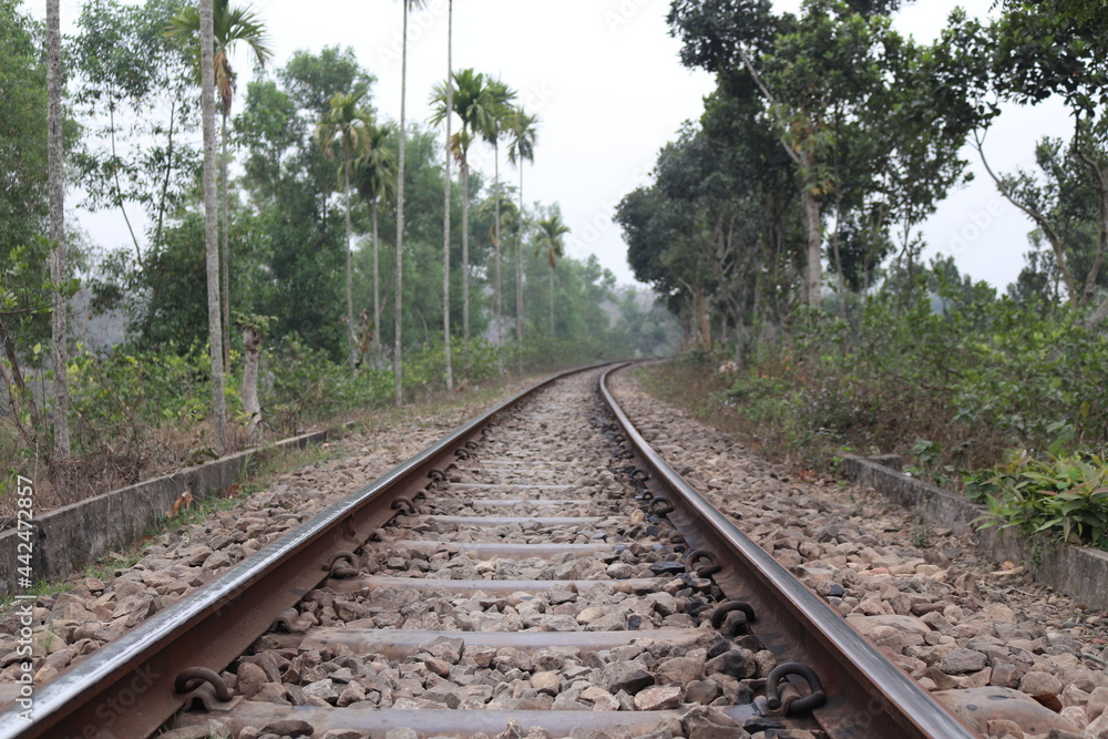 Fototapeta premium Railway in the forest