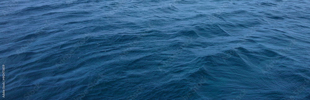Obraz premium うねりのある海面の背景イメージ 
