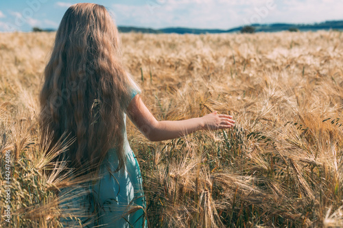 A long-haired fair-haired girl walks in a golden field of rye. View from the back. The freedom and joy of being in nature. Summer mood