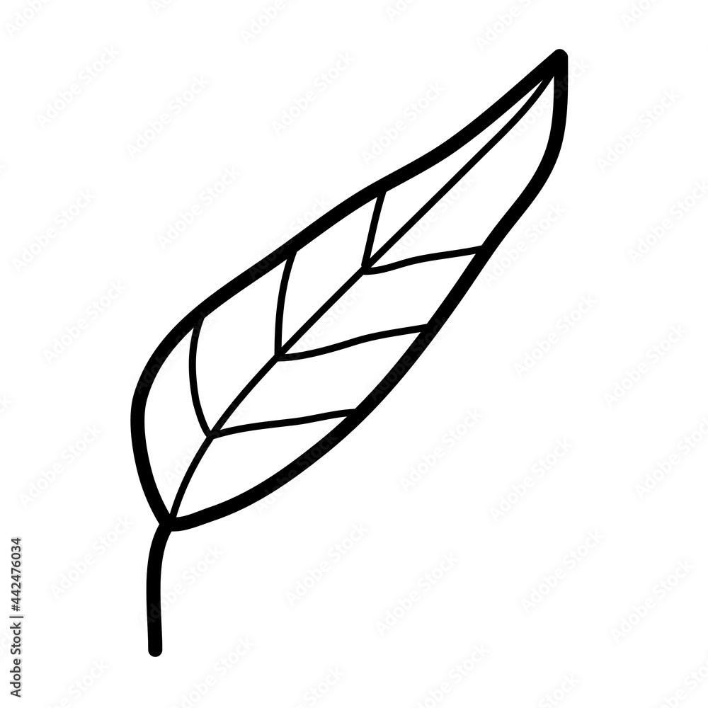 simple botanical plant leaf vector illustration icon design template with doodle hand drawn outline style simple botanical plant leaf vector illustration icon design template with doodle hand drawn outline style