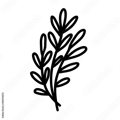 beauty branch curve leaf tree vector illustration icon design template with doodle hand drawn outline style