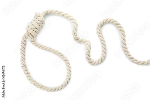 Rope noose with knot on white background, top view