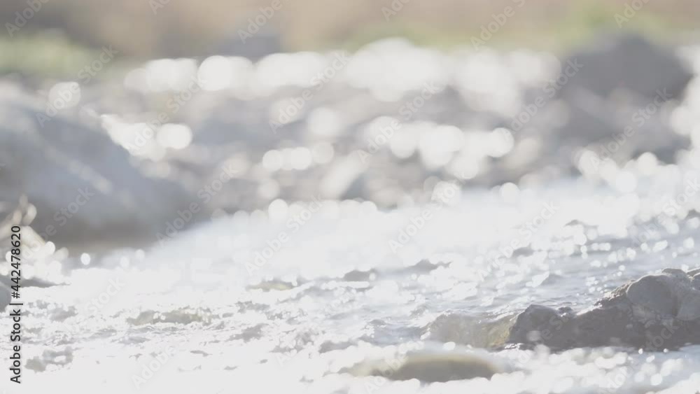 The stream of water to the sea, flowing between the rocks in the riparian, the surface of water sparkles brilliantly illuminated by sunlight The stream of water to the sea, flowing between the rocks in the riparian, the surface of water sparkles brilliantly illuminated by sunlight