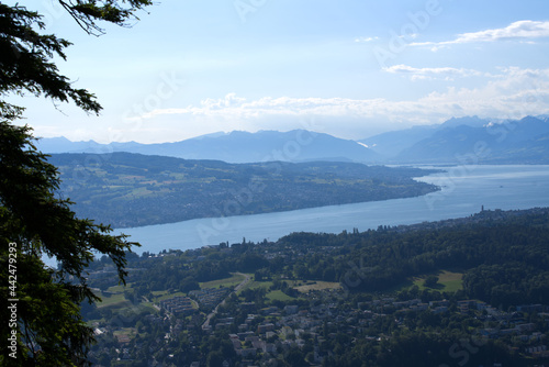 Panoramic view over lake Zurich seen from local mountain Uetliberg on a summer day morning. Photo taken June 29th  2021  Zurich  Switzerland.