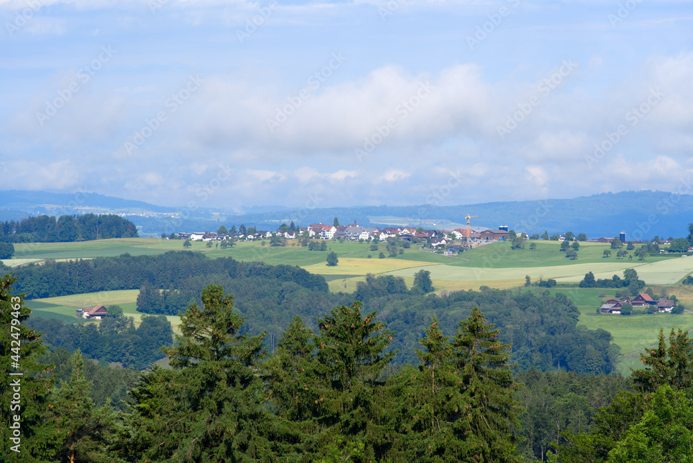 Beautiful panoramic landscape seen from local mountain Uetliberg canton Zurich on a summer morning. Photo taken June 29th, 2021, Zurich, Switzerland. Beautiful panoramic landscape seen from local mountain Uetliberg canton Zurich on a summer morning. Photo taken June 29th, 2021, Zurich, Switzerland.