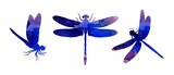 Set of watercolor illustrations of lilac abstract dragonflies with paint stripes. Cute funny insect print. A winged insect with large eyes. Isolated over white background. Drawn by hand.
