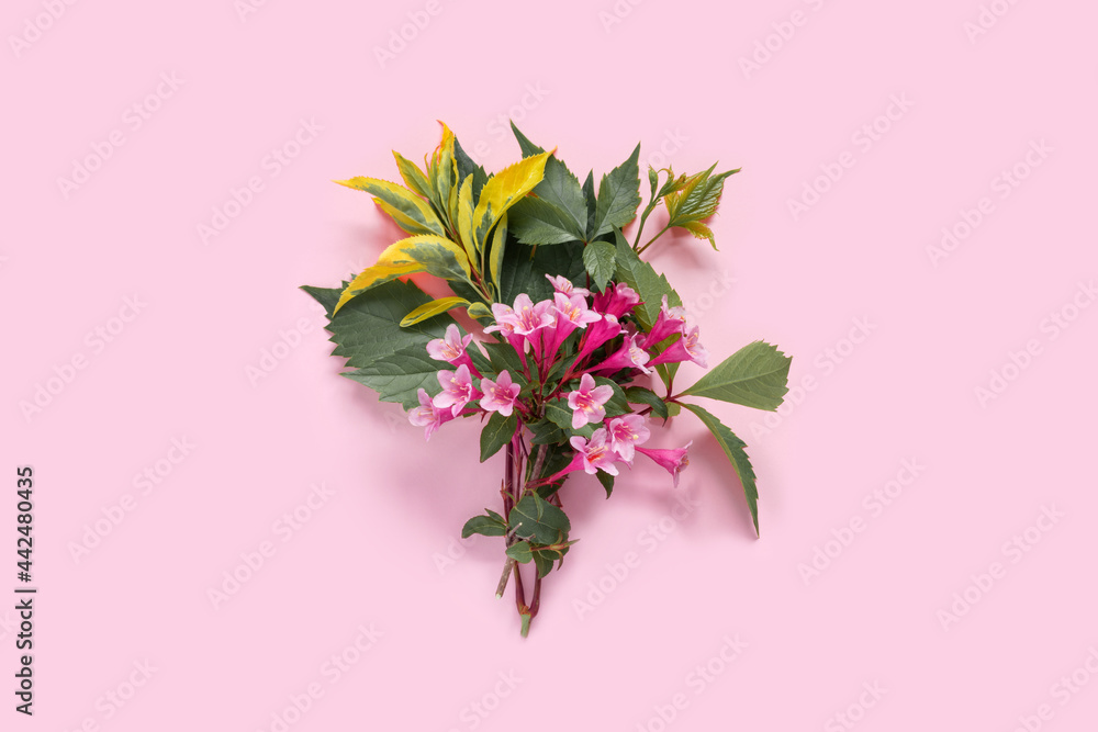 Obraz premium Greeting card with pink weigela flowers for mother's day or birthday. Creative design with copy space for text.
