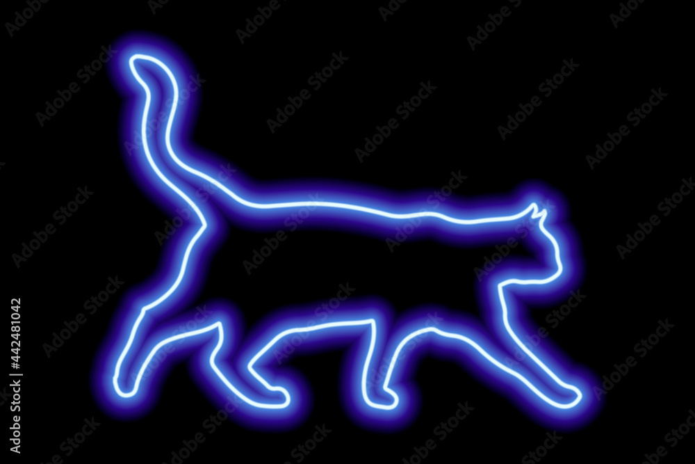 Neon blue cat on a black background. The cat walks with its tail raised high