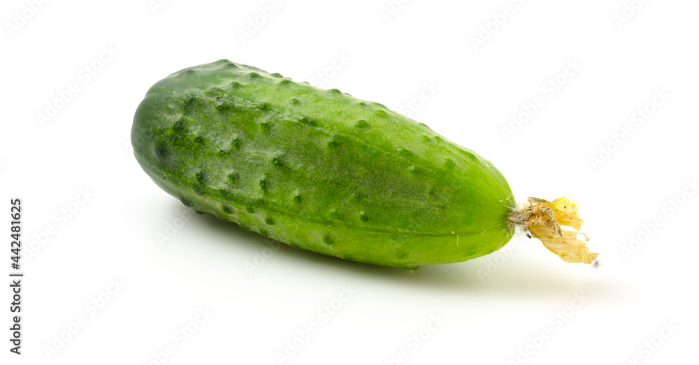 Close-up of whole gherkin, fresh, green cucumber isolated on white background. Close-up of whole gherkin, fresh, green cucumber isolated on white background.
