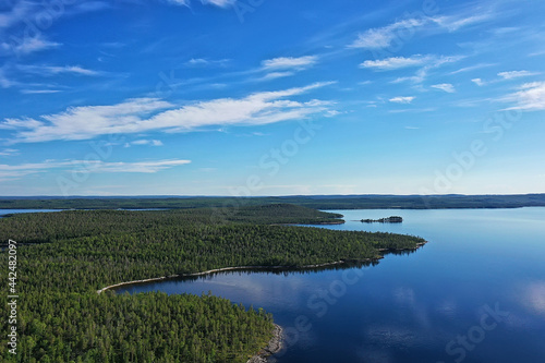 forest lake top view, landscape nature view forest, background