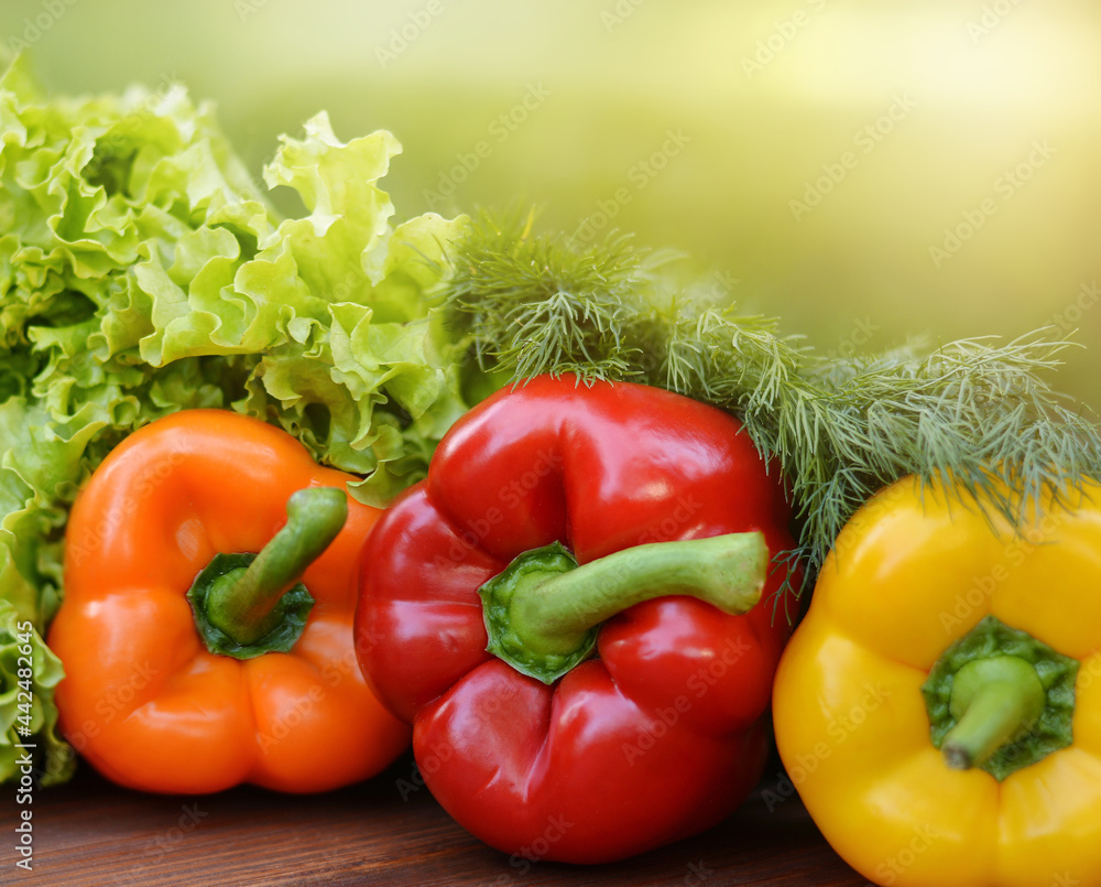 Colorful sweet bell peppers, salad, dill on wooden background.Healthy vegetarian food.Vegetarian eating concept. Copy space for text Colorful sweet bell peppers, salad, dill on wooden background.Healthy vegetarian food.Vegetarian eating concept. Copy space for text