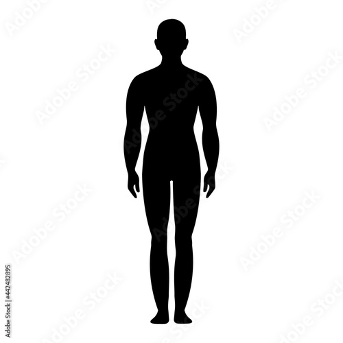 Male anatomy human front and side view body silhouette