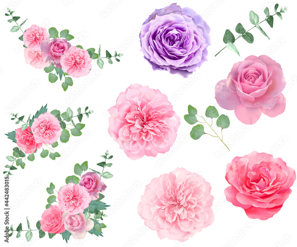優しい色使いのバラの花とリーフの植物イラスト素材 優しい色使いのバラの花とリーフの植物イラスト素材