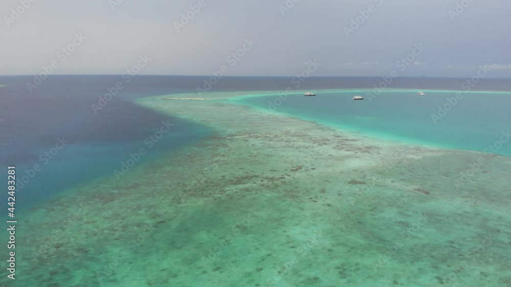Aerial view beach at Maldives with white sandy beach and sea and palms Aerial view beach at Maldives with white sandy beach and sea and palms