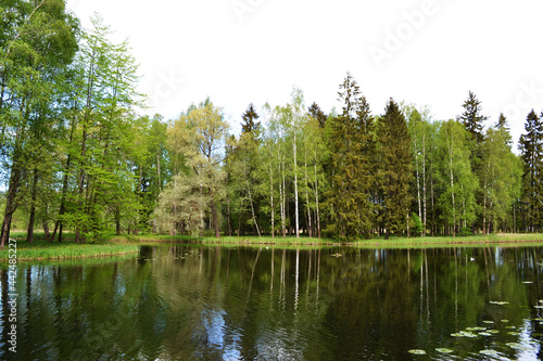 Lake in the forest, trees reflection on the lake water, natural background