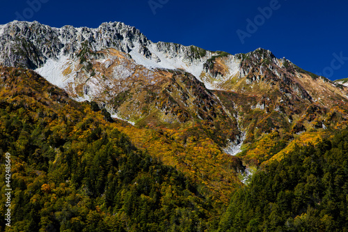 autumn colored mountains