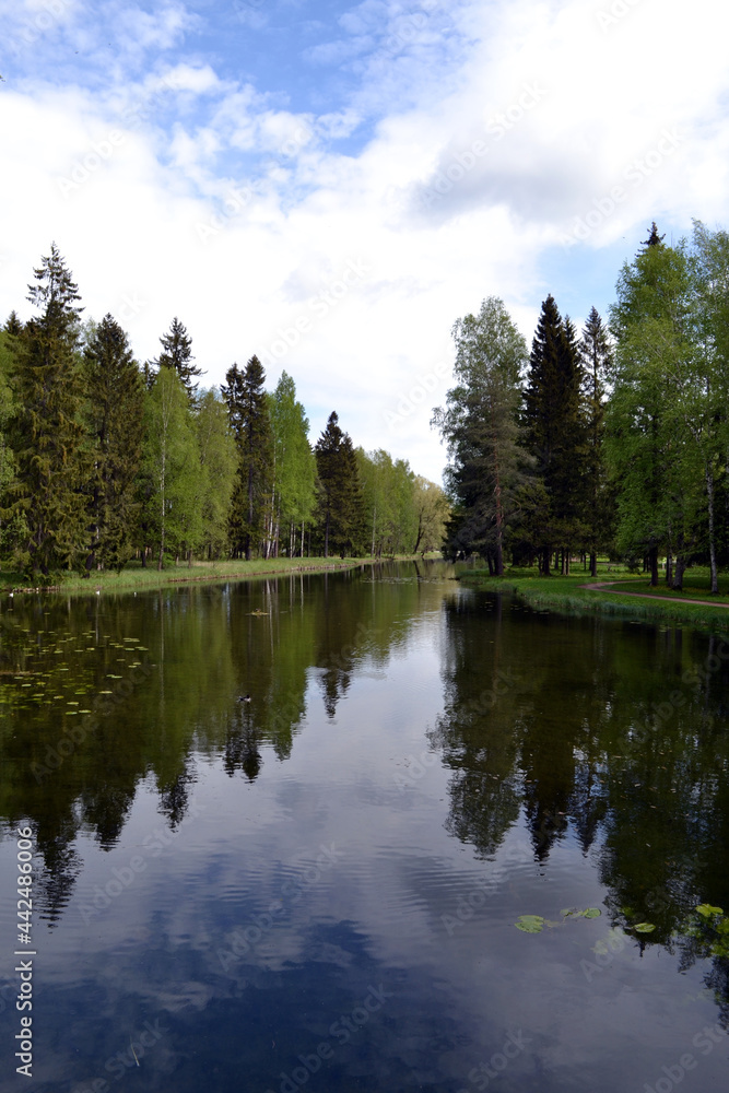 Lake in the forest, trees reflection on the lake water, natural background Lake in the forest, trees reflection on the lake water, natural background