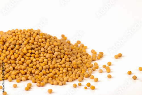 Heap of white mustard (Sinapis alba) seeds on white background, top view, superfood concept with copy space.