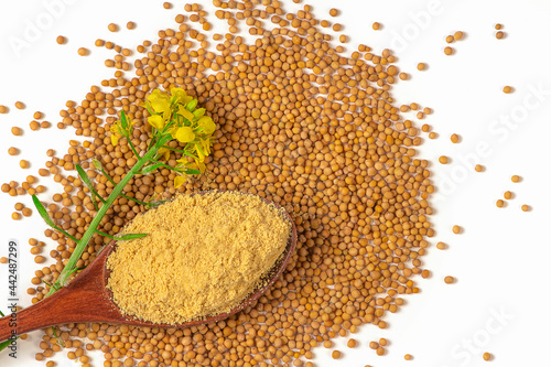 Mustard seeds, mustard powder in a spoon and Sinapis alba flower on white background, top view, superfood concept with copy space.