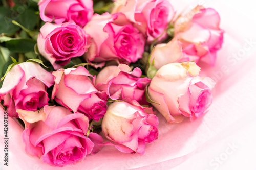 Pink roses