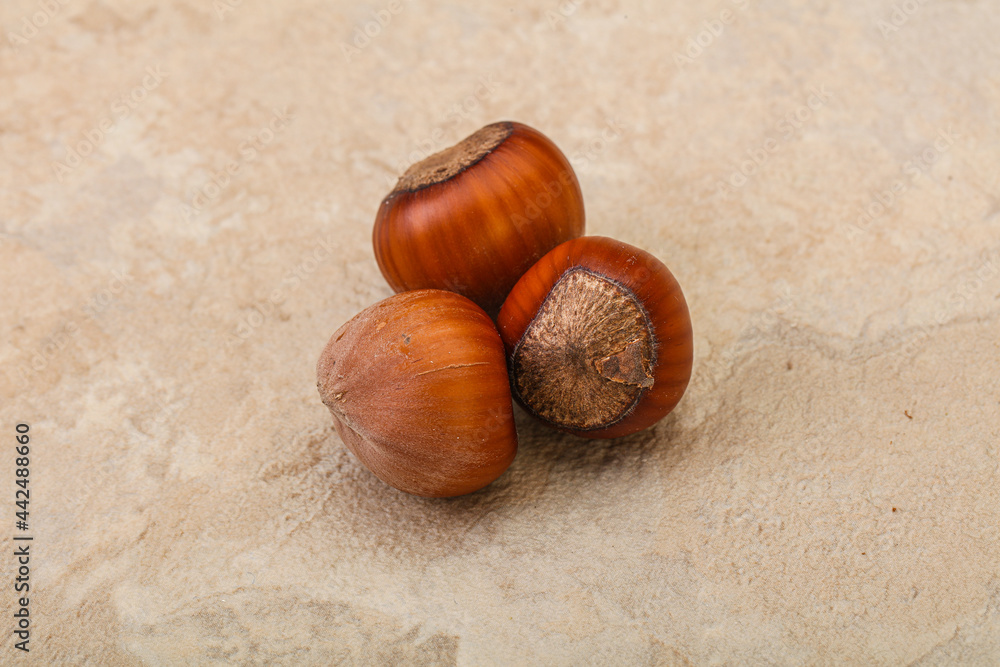 Obraz premium Hazelnut heap isolated over background