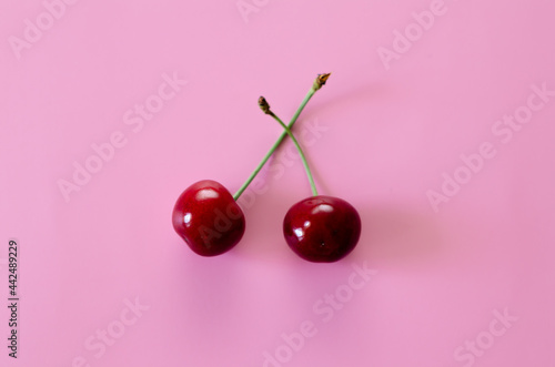 Ripe cherries on a pink background. Pop Art