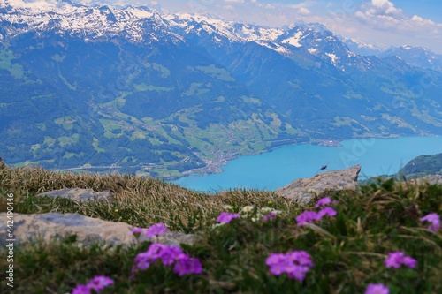 Urlaub in der Schweiz bei Sankt Gallen © bajo57