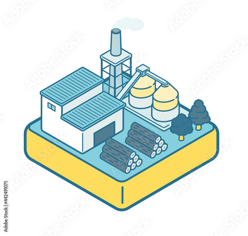 Biomass power generation