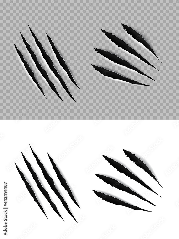 Claw marks and scratches of animal paws and talons Claw marks and scratches of animal paws and talons