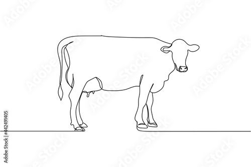 Continuous one line of cow in silhouette on a white background. Linear stylized.Minimalist.