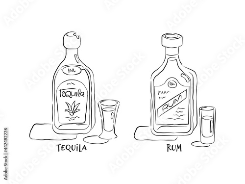 Tequila and rum. Bottle and glass in hand drawn style. Restaurant illustration for celebration design. Retro sketch. Line art. Design element. Beverage outline icon. Isolated on white background