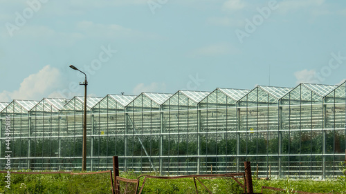 huge glass greenhouses of the agro-industrial complex