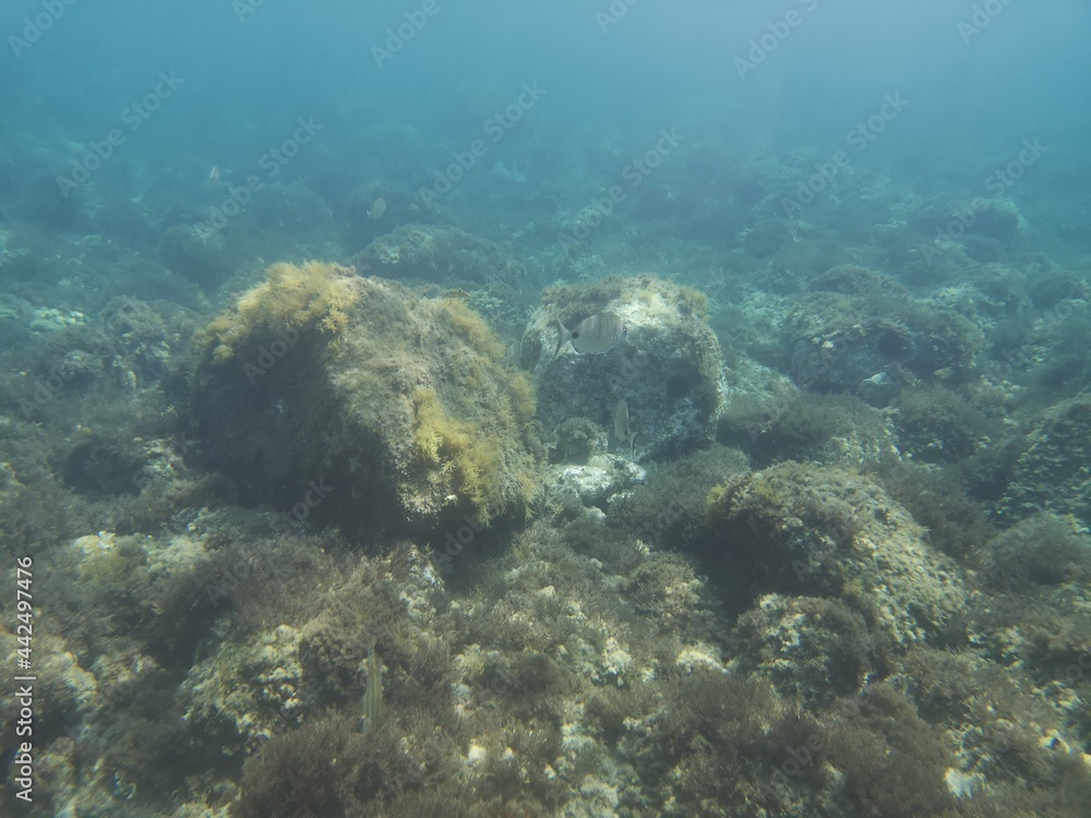 Fototapeta premium Cabo de Gata, Nijar, Almeria, Andalucia, España