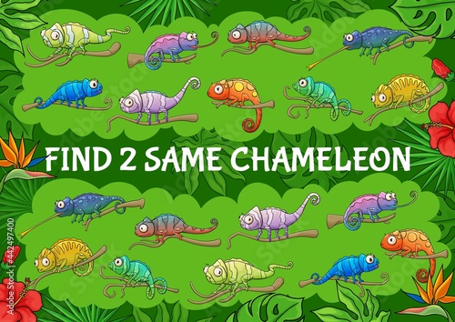 Cartoon chameleon lizards, find two same chameleons kids game. Vector educational riddle with cute characters and jungle plants. Children leisure activity puzzle, search similar reptile animal task