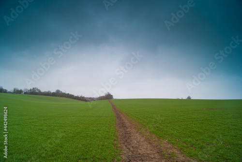 Winter fields in Saffron Walden area UK