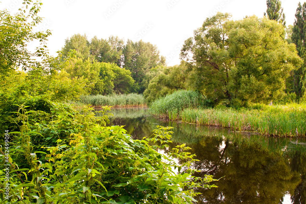 Fototapeta premium beautiful landscape