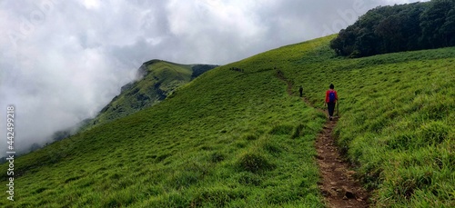 Kudremukh Trek, Trekking in karnataka, karnataka, travel, trekking, chikmagalur, adventure, hiking, hills, greenery, sky, photo