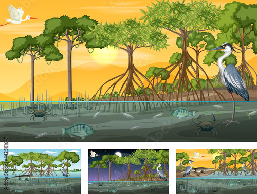 Different mangrove forest landscape scenes with various animals