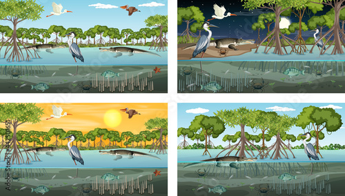 Different mangrove forest landscape scenes with various animals