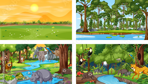 Canvas Print Different nature scenes of forest and rainforest with wild animals