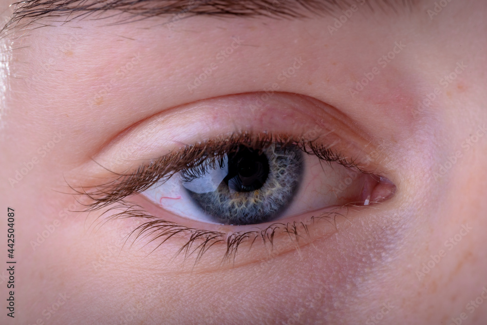 Obraz premium Close up of blue eye of caucasian businesswoman