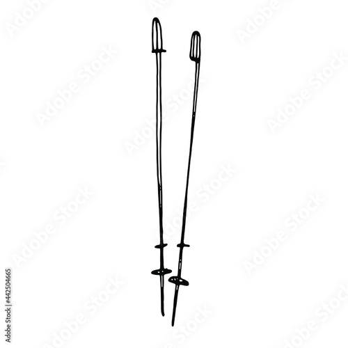 Doodle nordic walking sticks.Camping hand drawn line art.