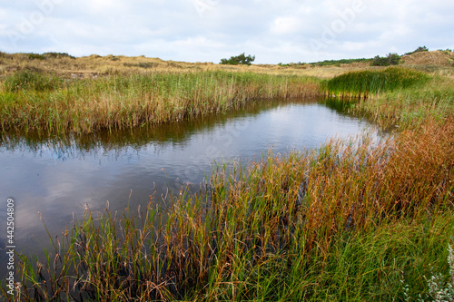 Landschap Vlieland; Landscape Vlieland (Netherlands)