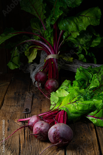 Botwina, Rustic Young Beetroot