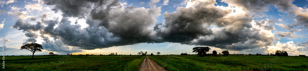 Panorama road to Dark sky and dramatic black cloud before rain.rainy storm over rice fields with rural road,Sisaket province,Thailand. Panorama road to Dark sky and dramatic black cloud before rain.rainy storm over rice fields with rural road,Sisaket province,Thailand.