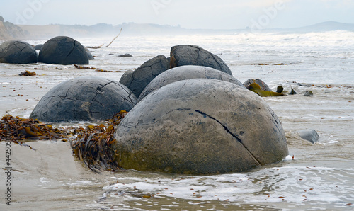 Moeraki Boulders bei Oamaru,  Südinsel Neuseelands, Nationalpark   kugel, steine photo